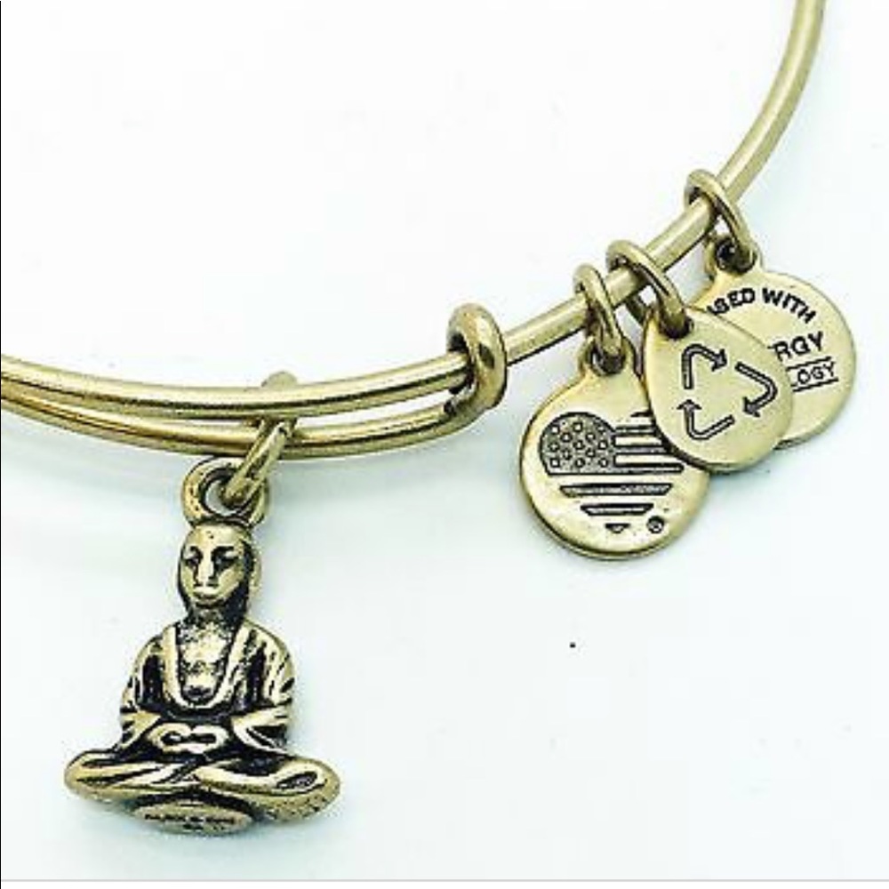 ALEX AND ANI | BUDDHA BANGLE BRACELET | RAFAELIAN GOLD - Picture 3 of 8